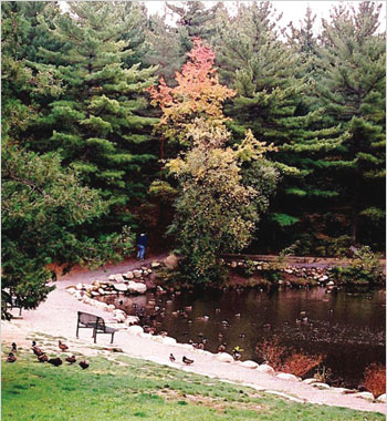 Trails and Parks