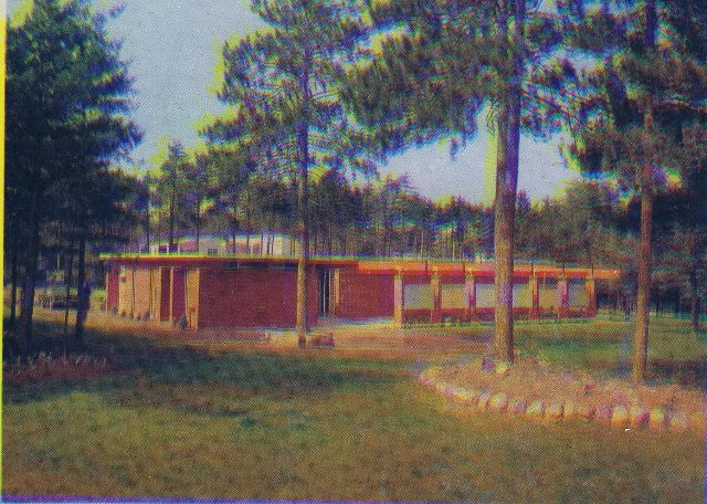 2011.13.36 DBP293 DesBrisay Museum c.1966