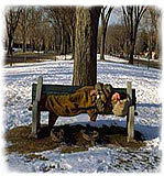 in-from-cold