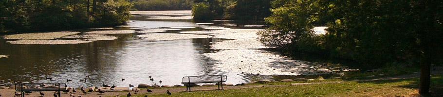 Parks and Trails