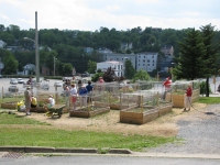 community_gardens