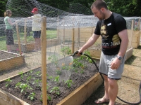 community_gardens_member