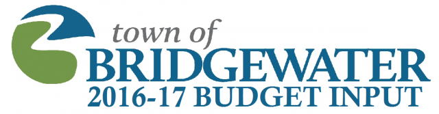 201617 Budget Input