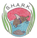 entertainment_shark